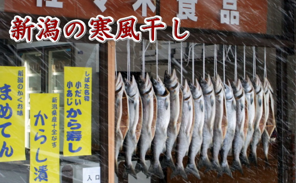新潟の寒風干し