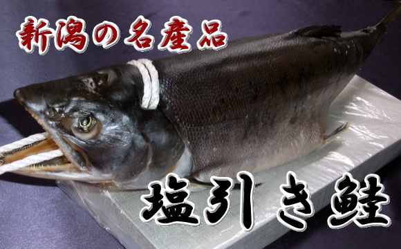 新潟の名産品-塩引き鮭