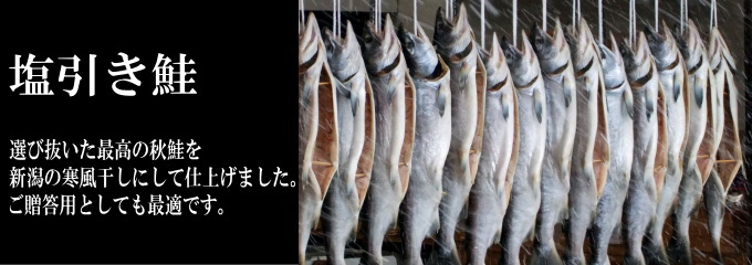 塩引き鮭、選び抜いた最高の秋鮭を新潟の寒風干しにして仕上げました。ご贈答としても最適です。